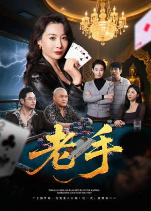 老手(36集) 老手(36集)短剧热门推荐