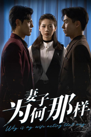 妻子为何那样(60集) 妻子为何那样(60集)短剧介绍