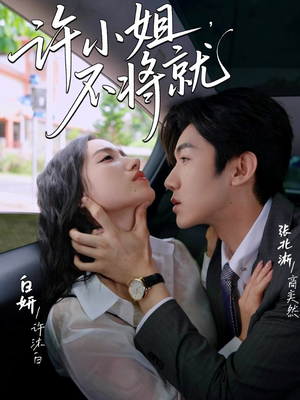 许小姐不将就(60集) 许小姐不将就(60集)抢先看热门短剧