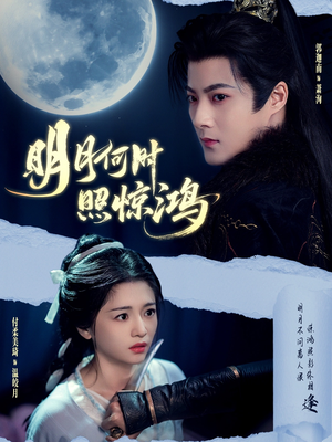 明月何时照惊鸿（80集）最后一集
