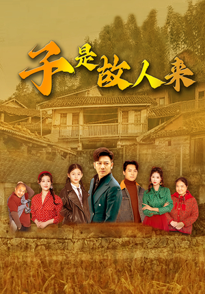 子是故人来(65集) 子是故人来(65集)80到100集