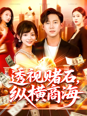 透视赌石,纵横商海(80集) 透视赌石,纵横商海(80集)在哪看免费