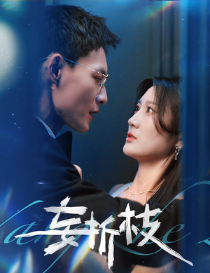 妄折枝(53集) 妄折枝(53集)全季一次看完