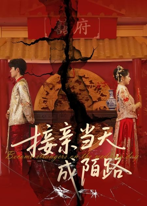 接亲当天成陌路(50集) 接亲当天成陌路(50集)今日短剧分享