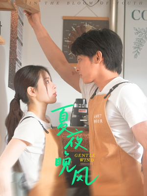 夏夜晚风(12集) 夏夜晚风(12集)一个短剧看全集