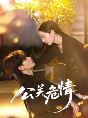 公关危情(60集) 公关危情(60集)免费版