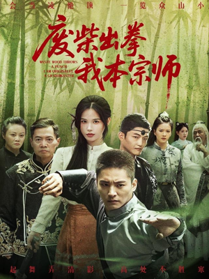 废柴出拳我本宗师(61集) 废柴出拳我本宗师(61集)爆火短剧抢先看