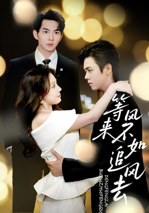 等风来不如追风去(72集) 等风来不如追风去(72集)高清画质免费看