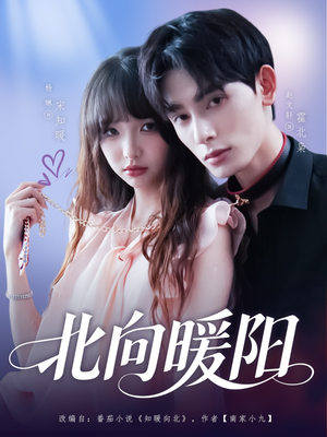 北向暖阳(80集) 北向暖阳(80集)最火短剧热播中