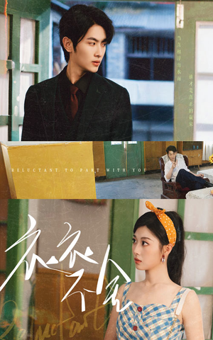 衣衣不舍（63集）短剧抢先看全集