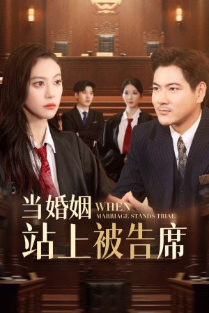 当婚姻站上被告席(30集) 当婚姻站上被告席(30集)免费热门短剧