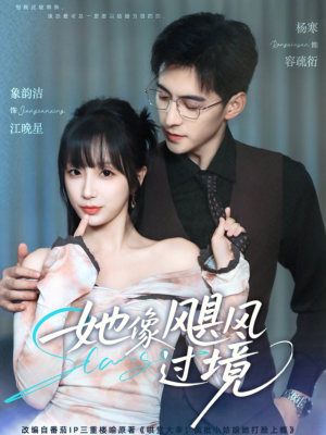 她像飓风过境(81集) 她像飓风过境(81集)精彩短剧片段