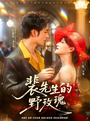 裴先生的野玫瑰(72集) 裴先生的野玫瑰(72集)直接看到大结局