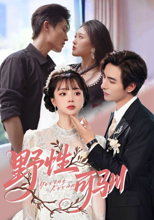 野性可驯(63集) 野性可驯(63集)精彩热门短剧