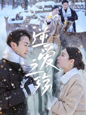 逆爱之殇(60集) 逆爱之殇(60集)短剧演员排行榜