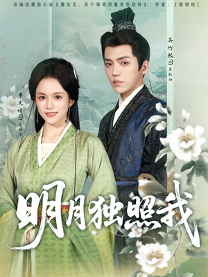 明月独照我(80集) 明月独照我(80集)全集完整版