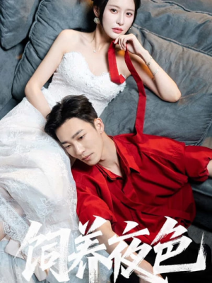 饲养夜色(86集) 饲养夜色(86集)热播短剧来袭