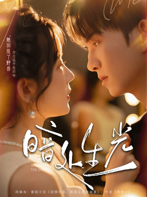 暗处生光(82集) 暗处生光(82集)免费短剧片段