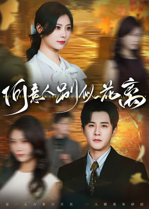 何意人别似花离(61集) 何意人别似花离(61集)爱上了这部剧了