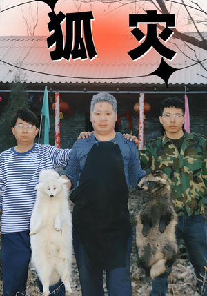 狐灾(25集) 狐灾(25集)短剧全集完整