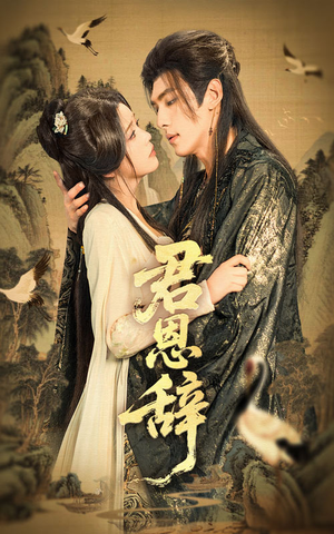 君恩辞（60集）全剧看到大结局