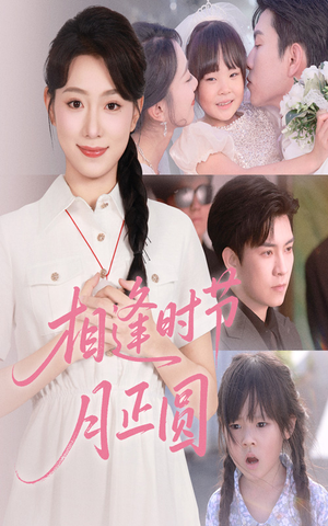 相逢时节月正圆(54集) 相逢时节月正圆(54集)在线免费观影