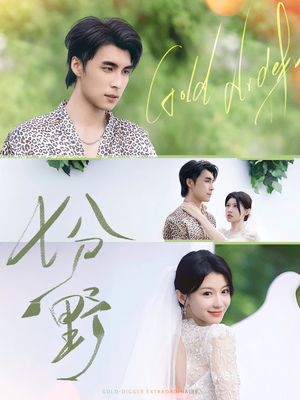 七分野(78集) 七分野(78集)短剧在线看