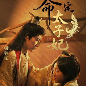 命定太子妃(63集) 命定太子妃(63集)最新热剧免费看