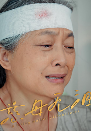 慈母无泪(30集) 慈母无泪(30集)精彩短剧片段