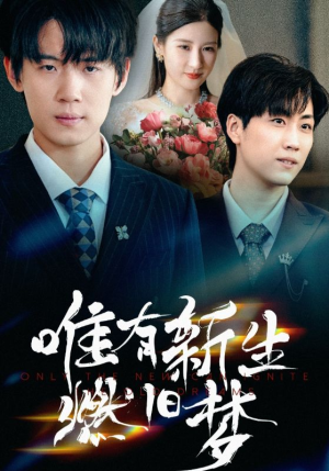 唯有新生燃旧梦(55集) 唯有新生燃旧梦(55集)在线看免费版