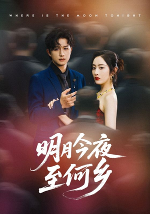 明月今夜至何乡(70集) 明月今夜至何乡(70集)红果免费短剧