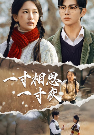 一寸相思一寸灰(43集) 一寸相思一寸灰(43集)短视频追剧推荐