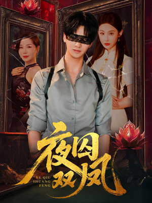 夜囚双凤(46集) 夜囚双凤(46集)在线看