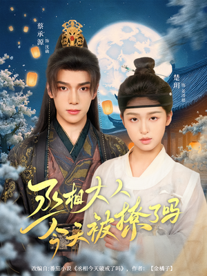 丞相大人今天被撩了吗(80集) 丞相大人今天被撩了吗(80集)短剧精彩绝伦