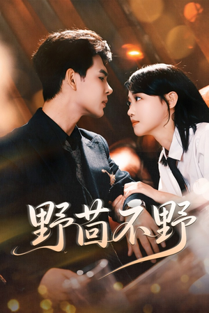 野茴不野(67集) 野茴不野(67集)大结局