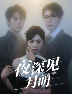 夜深见月明(50集) 夜深见月明(50集)一口气追完短剧