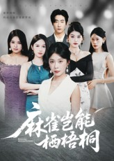 麻雀岂能栖梧桐(31集) 麻雀岂能栖梧桐(31集)精彩短剧天天看