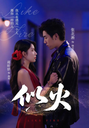 似火(80集) 似火(80集)男主角是谁