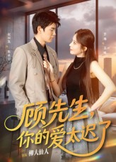 顾先生你的爱太迟了(60集) 顾先生你的爱太迟了(60集)热播短剧全集看