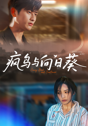 疯鸟与向日葵（40集）一起看短剧