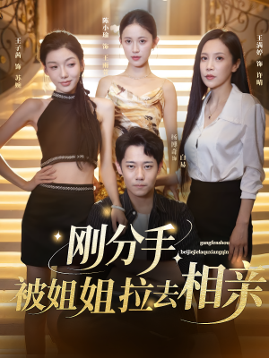 刚分手被姐姐拉去相亲(73集) 刚分手被姐姐拉去相亲(73集)让你一口气看完