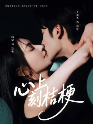 心上刻桔梗(90集) 心上刻桔梗(90集)这部短剧太好看