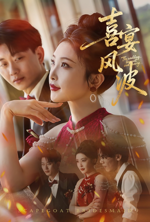 喜宴风波&替罪伴娘(30集) 喜宴风波&替罪伴娘(30集)短剧免费观看