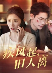 疾风起旧人离（32集）独家内容免费看
