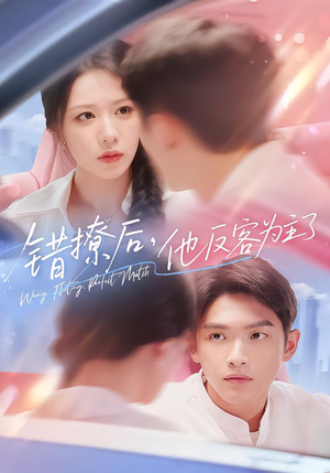 错撩后他反客为主了(72集) 错撩后他反客为主了(72集)短剧全集大结局