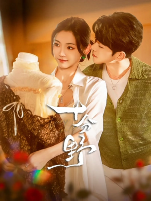 十分野&摘星予南风(73集) 十分野&摘星予南风(73集)短剧精彩不断