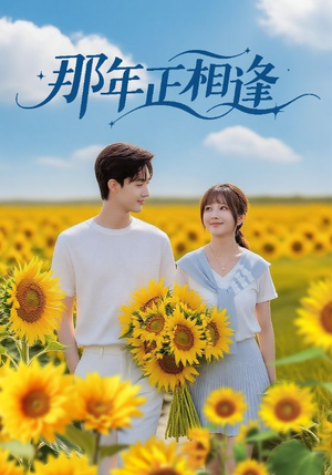 那年正相逢(60集) 那年正相逢(60集)全集免费看短剧