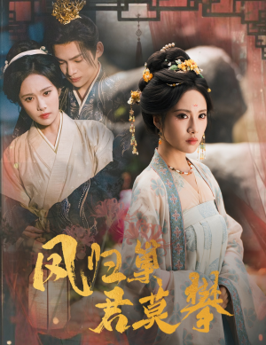 凤归巢君莫攀(60集) 凤归巢君莫攀(60集)第三季
