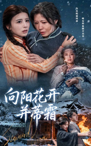 向阳花开并蒂霜（60集）西瓜短剧免费看