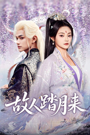 故人踏月来(60集) 故人踏月来(60集)热门短剧免费看